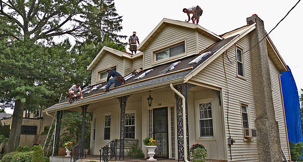 Best Residential Roofing Contractor  in Boyceville, WI
