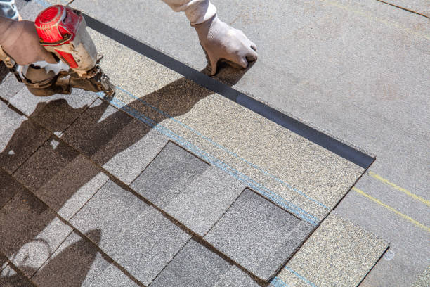 Best Flat Roof Repair Services  in Boyceville, WI