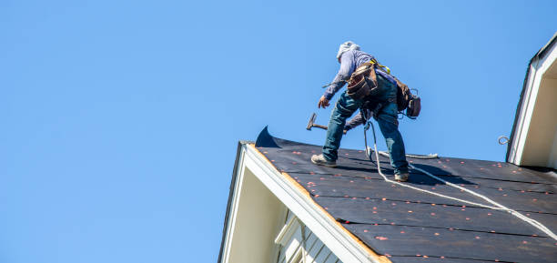 Best Residential Roofing Contractor  in Boyceville, WI